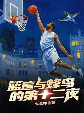 篮筐与蜂鸟的第十二夜